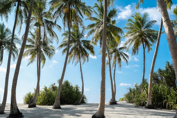 Un aperçu des circuits de tourisme urbain pour les foodies